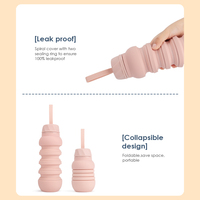Bouteille d'eau pliable en silicone sans BPA de 550 ml, rose, pliable, portable, pour boire directement