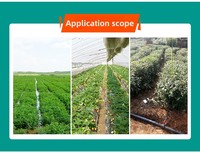 Filtre à disque et à sable à auto-nettoyage 10m³/h pour système d'irrigation goutte à goutte en serre agricole