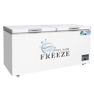 ตู้แช่แข็งแบบเดินเข้าได้ขนาด 1000 ลิตร สำหรับคลังสินค้าเก็บความเย็น - Product Image 1