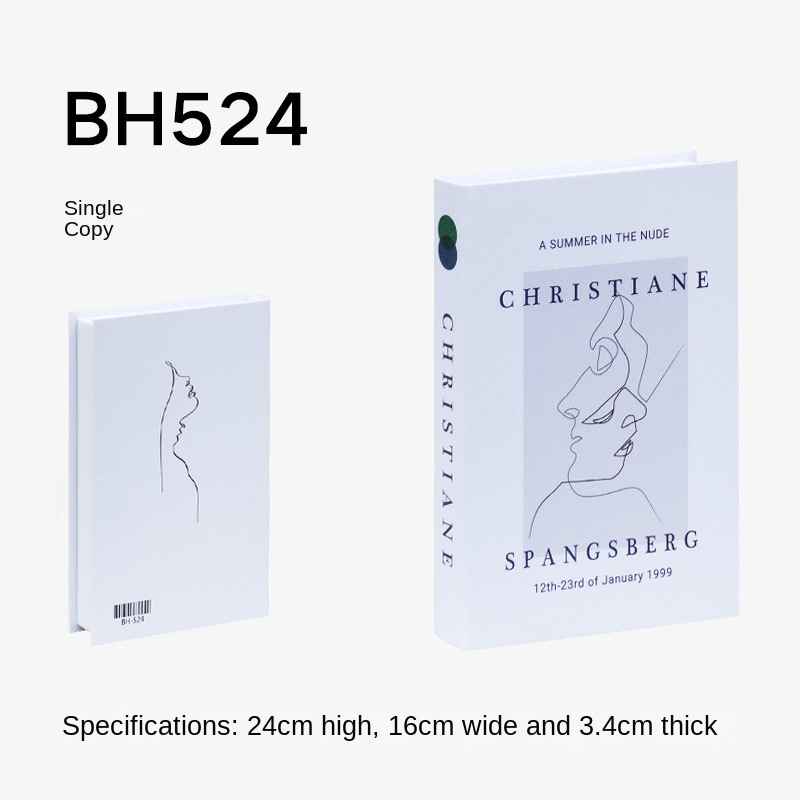 12-BH-524 24*16*3.4cm