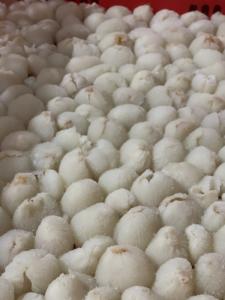 ลิ้นจี่แช่แข็งผลิตภัณฑ์ทางการเกษตรจากเวียดนามสำหรับตลาดต่างประเทศ - Product Image 6