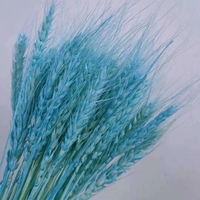 Fourniture d'usine de fleurs séchées naturelles herbe de paille fleurs de blé séchées pour la décoration de la maison