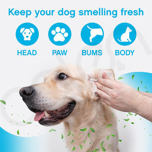 Spray désodorisant pour chiens Luxfume Pets pour le contrôle des odeurs, rafraîchit le pelage entre les bains, pour les taches d'urine d'animaux et les odeurs fortes sur les tapis - Product Image 2