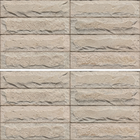 Carreaux muraux extérieurs en céramique antibactériens Elevation 300x600mm pour hôtels, appartements, villas, motels, fermes