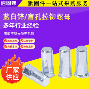 Hexagonal Rivet Nuts Metric Coarse Thread Zinc Plated Grade A For Construction Industry - Product Image 5
