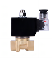 Vanne solénoïde en laiton normalement fermée 3/8'' 220V 12V 24V à action directe pour eau, gaz et huile