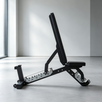Fournisseur chinois d'équipements de musculation portables en métal, usine directe, haltères réglables, banc de musculation pour la maison