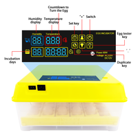 HT-36 entièrement automatique à couver énergie solaire 1000 œufs Machine d'écloserie incubateur d'œufs solaires