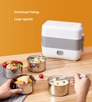 Boîte à lunch électrique portable, boîte à lunch thermique, récipient chauffant pour aliments, auto-chauffant, multifonction, avec bac à riz