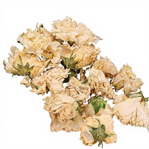 ดอกชบาคุณภาพสูงสำหรับผู้จัดจำหน่ายขายส่ง - Product Image 3