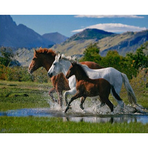 Kit Pittura Diamante Cavallo in Corsa - Tessuto Dipinto a Mano Fai da Te, Nuova <span class=keywords><strong>Arte</strong></span> Murale Classica/Post-moderna per Adulti e Principianti - Product Image 1