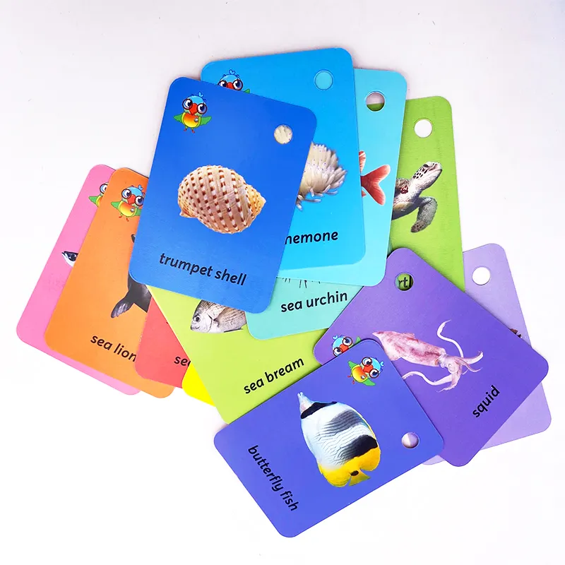 Cartão de memória flash de aprendizagem precoce russo 1TB 16Gb Abc Cartões Digitais