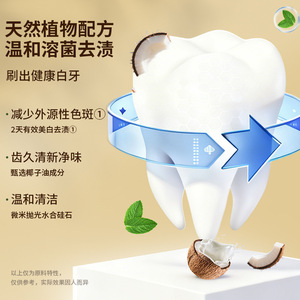 Dentifrice blanchissant à l'huile de coco Dr.Baek 100g, haleine fraîche, pour adultes - Product Image 5