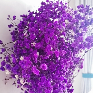 Gypsophila Bouquet Preserved Baby'<span class=keywords><strong>s</strong></span> Breath Flowers Flores secas multicolores Baby <span class=keywords><strong>s</strong></span> Breathe para boda y decoración de fiesta en casa - Product Image 6