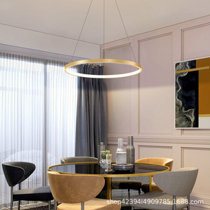 Einfacher Esszimmer-Kronleuchter, Individuell, Kreisförmig, Designer, Einzelkopf Moderne Wohnzimmerlampe, LED-Tischleuchter - Product Image 2