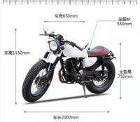 Engtian Moto Électrique Adulte à 2 Roues, Très Tendance, Modèle Classique Populaire, Moteur Personnalisable, Batterie au Plomb-Acide