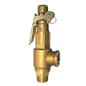 Válvula de segurança DN12-19-25-38-38-50 para alívio de pressão de cobre completo