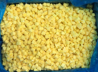 BESTSELLER Leverancier Export Diepvries Mango van Hoge Kwaliteit en Competitieve Prijs 10kg Karton Bulkverpakking