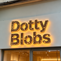 Enseigne LED à lettres en relief Starry Channel Letter, matrice de points scintillante, lettres lumineuses en acier inoxydable pour logo de marque, publicité murale ou devanture de magasin