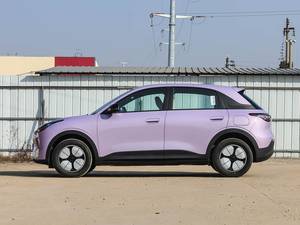 Geely Xingyuan Série 2026, Confort de Conduite Optimal, Direction Stable, Accélération Puissante, Idéal pour les Commuters Urbains et les Jeunes Conducteurs - Product Image 4