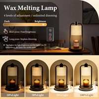 LANJO Lampe chauffe-bougie électrique pliable en verre et métal avec support détachable, minuterie à intensité variable, boîte plus petite pour la fonte de cire