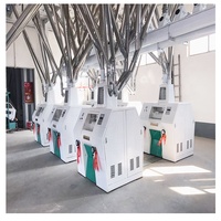 Moulin à maïs certifié ISO avec moteur et engrenage 380V, capacité de 200 kg/h pour usage commercial