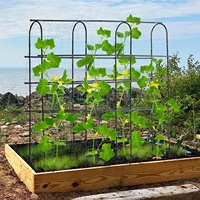 Treillis de jardin pour plantes grimpantes en extérieur, arche métallique de 1,5 m de haut pour soutenir les plantes, les légumes, les fruits, les fleurs et les vignes