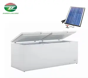 Chinese Suppliers Low Temp 220V Solar Deep Freezer Solar Powered Deep Freezer For Seafood