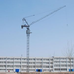 Grue à tour à flèche basculante LTC4015 de 6 tonnes haute performance à bas prix à vendre - Product Image 4