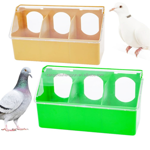 Mangeoire et abreuvoir suspendus <span class=keywords><strong>en</strong></span> plastique pour cailles, poulets et pigeons - Product Image 2