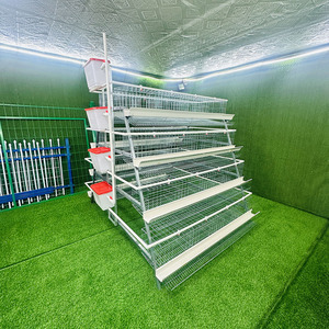 Cage à poules pondeuses pour équipement d'élevage, poulailler, cages pour animaux, équipements d'élevage, cages à poules pondeuses, cages d'élevage de poulets - Product Image 3