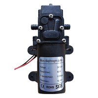 Pompe à eau auto-amorçante à pulvérisation 12V60W DC, booster à reflux, diaphragme, pression 0,6 MPa, débit 5 L/min, plastique, ASEAN Afrique
