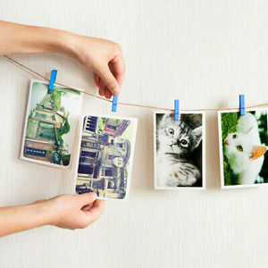 Pinces en bois, <span class=keywords><strong>Mini</strong></span> Couleur Pinces <span class=keywords><strong>À</strong></span> <span class=keywords><strong>Linge</strong></span>, 2.5 cm, 3.5 cm, 4.5cm Bois Artisanat Printemps Pinces <span class=keywords><strong>À</strong></span> <span class=keywords><strong>Linge</strong></span> pour La Maison Artisanat Décoration - Product Image 3
