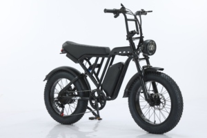 Batterie de vélo électrique City Ebike Pro avec suspension arrière, batterie au lithium, moteur sans balais 500W, capacité 720Wh, amovible V20 - Product Image 2