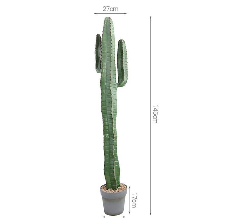 Cactus de velours rouge F