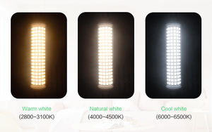 新型<span class=keywords><strong>R7S</strong></span> SMD2835 <span class=keywords><strong>LED</strong></span>電球 セラミック+PCボディ 高演色性CRI 80 360度ビーム角 オフィス用 AC電源 ETL認証済み - Product Image 4