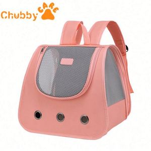 We got cool new Strawberry Shortcake cat backpacks and Walter has a lot to say about it 🍓 Could be good stuff but tbh, we haven't learned each other's language yet so