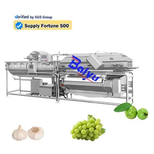 Baiyu Multi Functional Air Power Bubble Parsley Cleaning Vegetable/fruit Wash Coriander Washing Machine