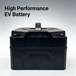 <b>48V</b> 30Ah <b>Battery</b> Pack for - Product Image 1