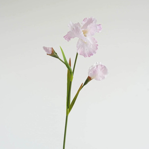 GOG1077 <span class=keywords><strong>Iris</strong></span> en soie réaliste de haute qualité pour l'intérieur et l'extérieur de Noël Pâques Retour École Fleurs artificielles décoratives - Product Image 5