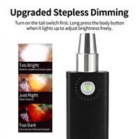 Lampe torche porte-clés IP20 UV 365nm pour inspection de pierres précieuses et de jade, en acier inoxydable, antichoc, durable, OEM ODM personnalisable, vente en gros