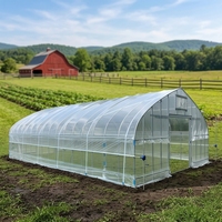 Serre tunnel à simple travée avec film en polyéthylène et ventilation latérale, adaptée à la culture de tomates et de fruits