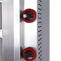 Grill vertical professionnel 8 brûleurs à gaz rotatif pour kebab et shawarma, idéal pour restaurant - Offre spéciale