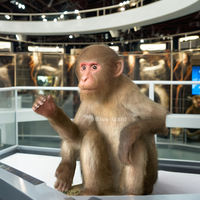 Modèles de Singes Animatroniques Réalistes, Faits à la Main, de Simulation