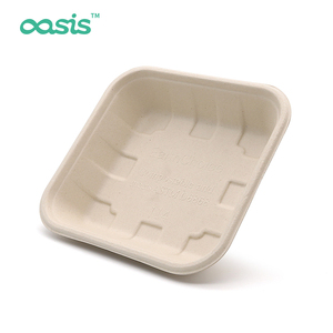 Tùy chỉnh dùng một lần mía bột giấy Khay cho trái cây tươi thịt compostable phân hủy sinh học bã mía khay không thấm nước không có thêm pfas - Product Image 4