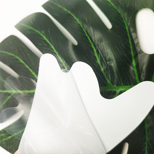 Mascarilla Facial de <span class=keywords><strong>Biogel</strong></span> Semicircular con Hidrogel para Hidratación Profunda, Tratamiento Personalizado, Parche para Líneas de Expresión - Product Image 5