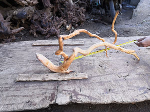 Groothandel Aquarium Geel Drijfhout Wortels - Product Image 5