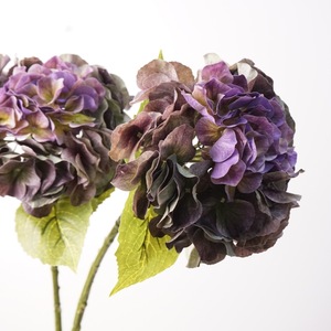H-1008 <span class=keywords><strong>Ortensie</strong></span> Artificiali Realistiche Bianche e Verdi, Nuovo Design, Grandi Fiori di Hortensia con Effetto Realistico per Matrimoni e Cerimonie di Laurea - Product Image 1