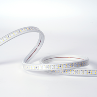 Bande lumineuse LED AC220V, éclairage de chantier, éclairage de tunnel, éclairage extérieur, IP65 étanche, emballage en tambour portable