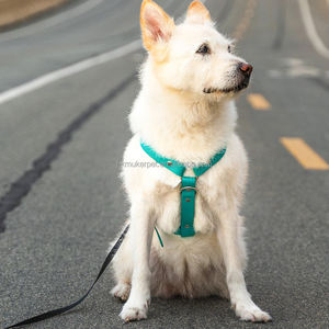 Arnés para perros cómodo recubierto de PVC personalizado impermeable fácil de limpiar a prueba de olor suave al tacto de moda altamente duradero sin ajuste - Product Image 3
